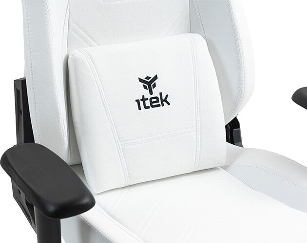 itek Gaming Chair SHUTTLE PM66 - PVC e Tessuto- Braccioli 3D- Nero Bianco